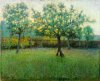 1905 - Orto tranquillo